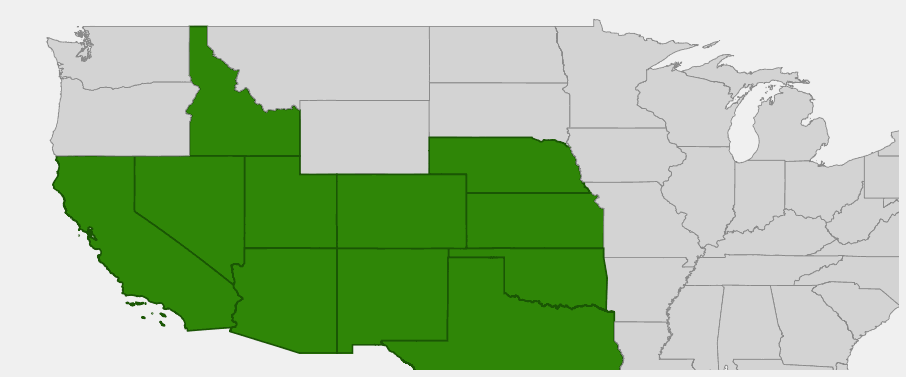 State-level native range of Asclepias asperula