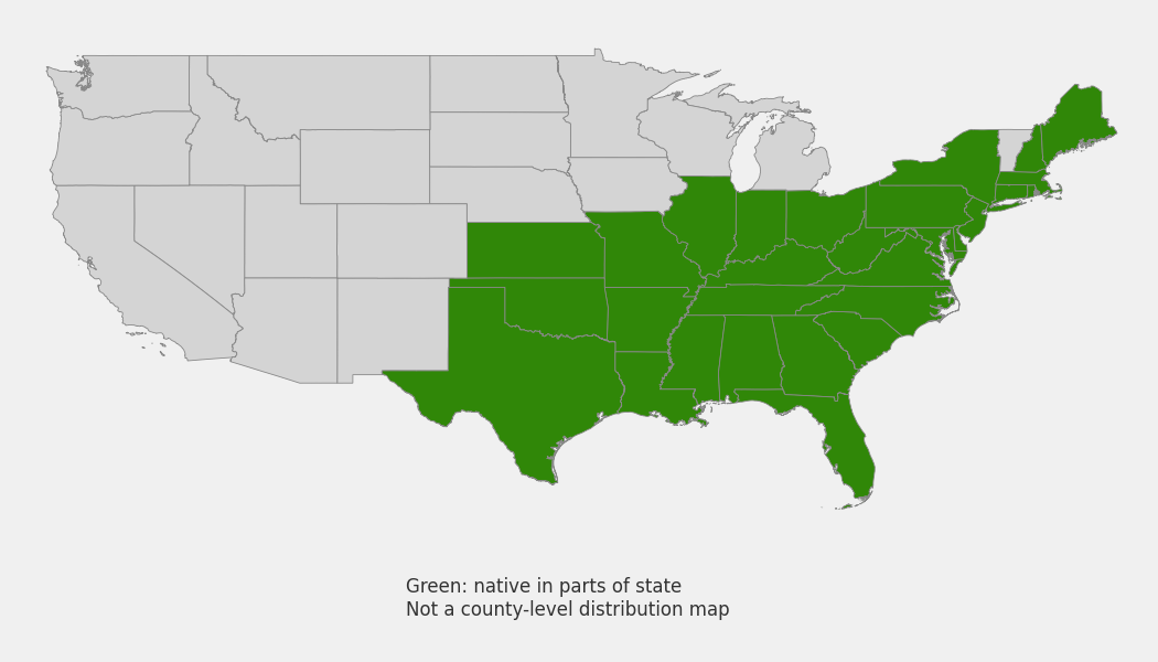 State-level native range of Symphyotrichum patens