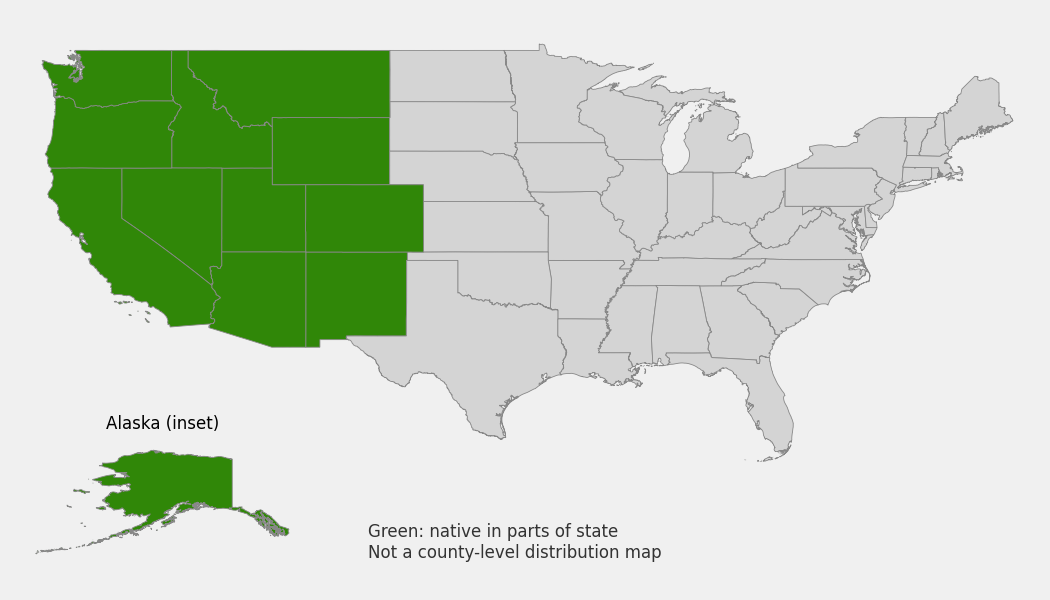 State-level native range of Caltha leptosepala