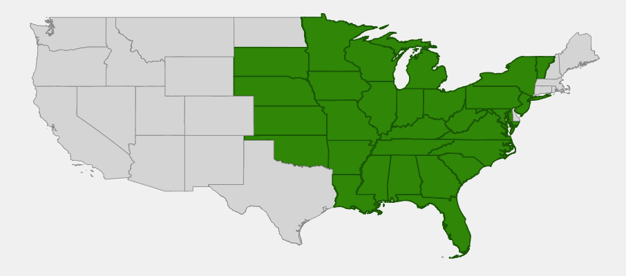 State-level native range of Campanulastrum americanum