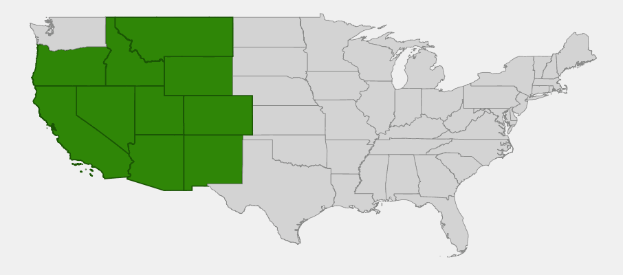 State-level native range of Castilleja linariifolia