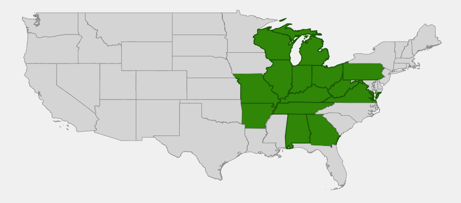 Native range map of Celandine Poppy (Stylophorum diphyllum) showing distribution across the Ohio Valley, Interior Low Plateau and southern Appalachians, including Alabama and Georgia