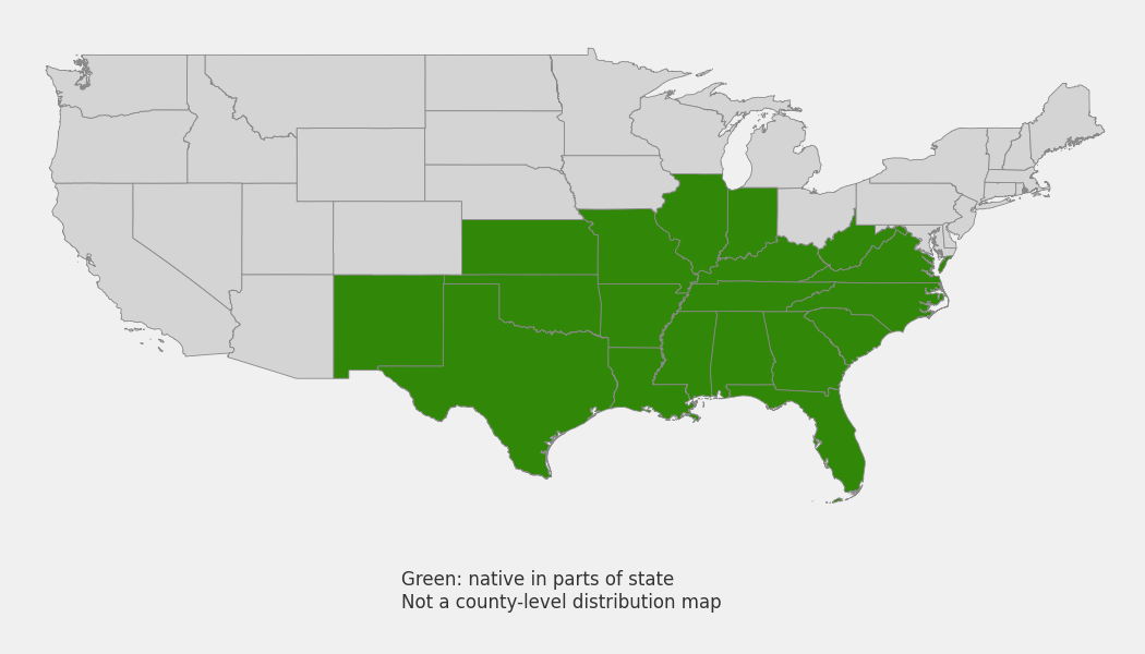 State-level native range of Celtis laevigata