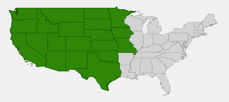 State-level native range of Cleomella serrulata