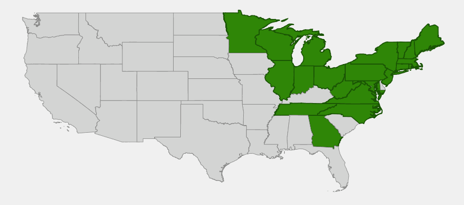 State-level native range of Clintonia borealis