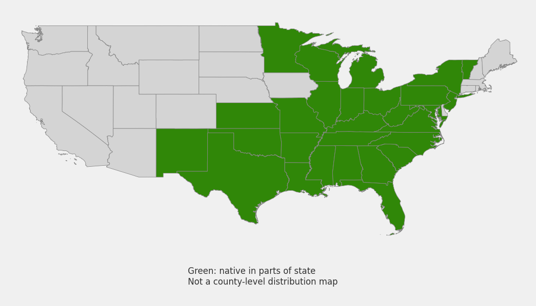 State-level native range of Coreopsis lanceolata