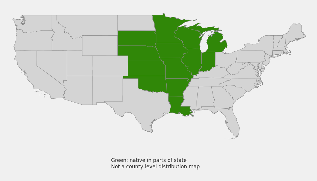 State-level native range of Anacis palmata