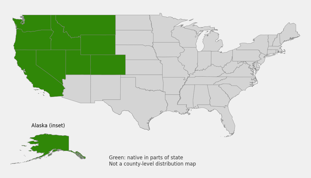 State-level native range of Delphinium glaucum