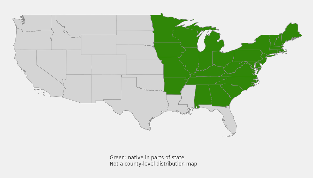 State-level native range of Dryopteris goldieana