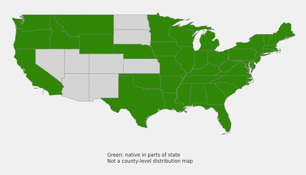 State-level native range of Dulichium arundinaceum