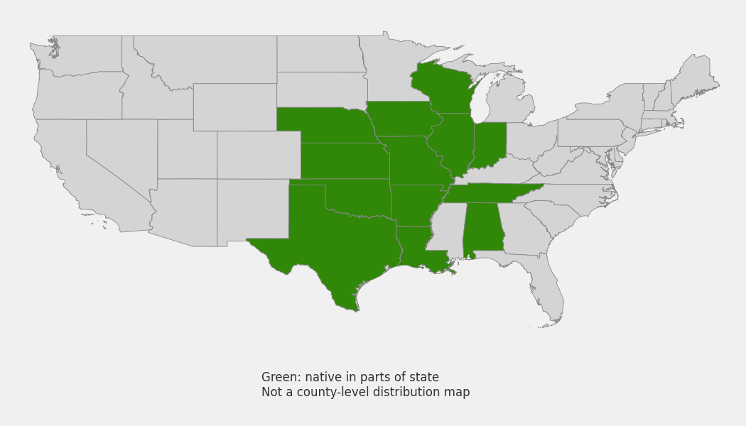 State-level native range of Echinacea pallida