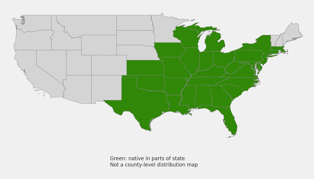 State-level native range of Eleocharis quadrangulata