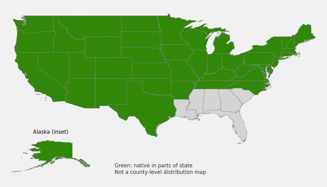 State-level native range of Elymus trachycaulus