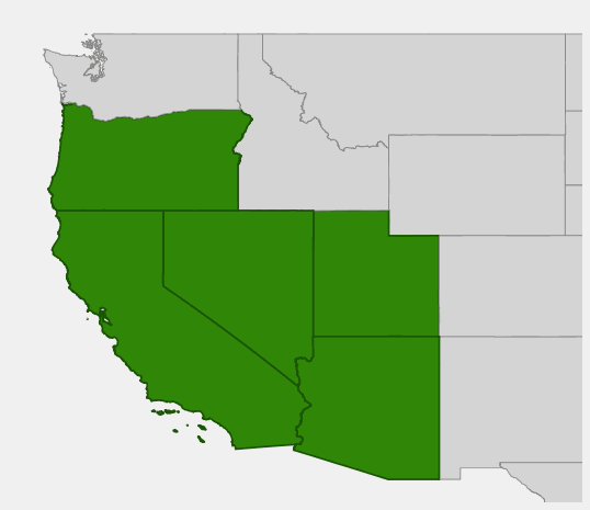 State-level native range of Ephedra nevadensis