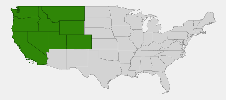 State-level native range of Eriogonum heracleoides