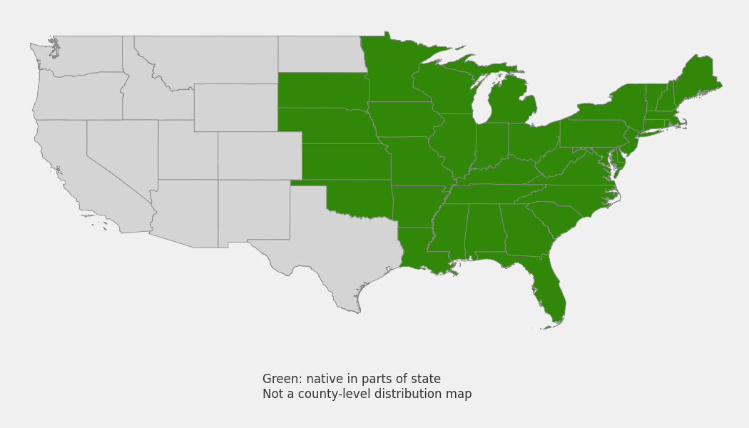 State-level native range of Eutrochium purpureum