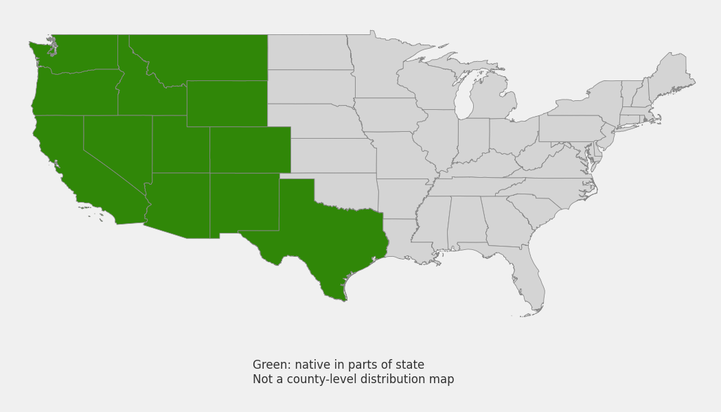 State-level native range of Festuca idahoensis