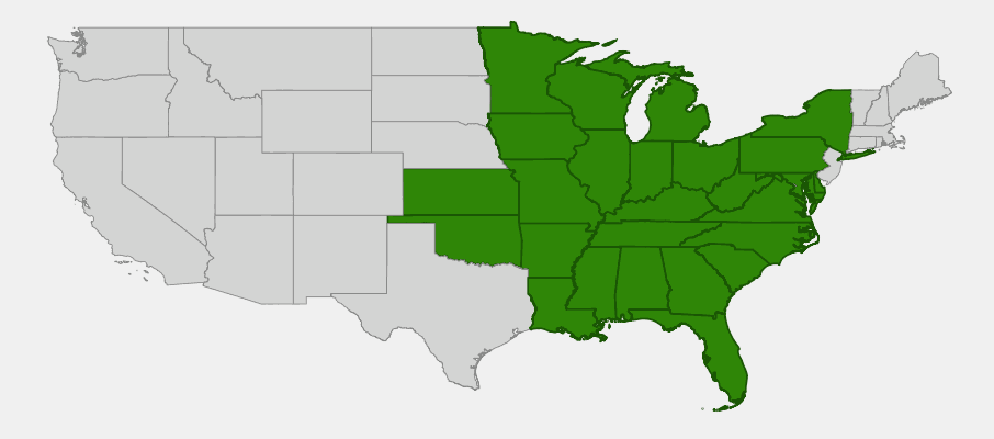 Native range map of Fire Pink (Silene virginica) showing distribution across the eastern and central United States