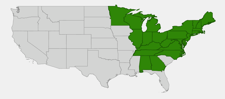 State-level native range of Gaultheria procumbens