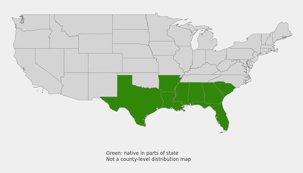 State-level native range of Halesia diptera