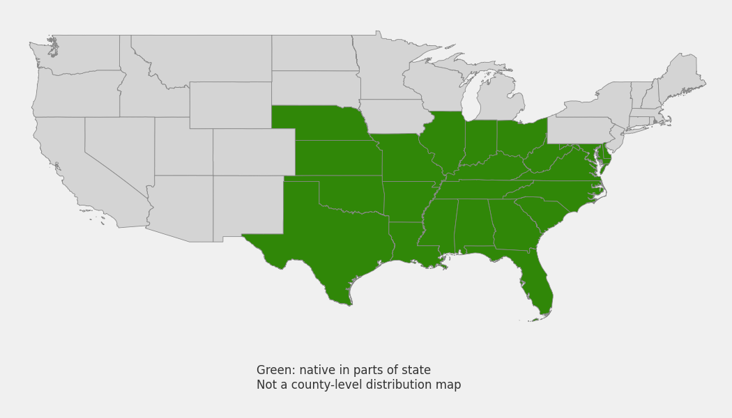 State-level native range of Helenium flexuosum