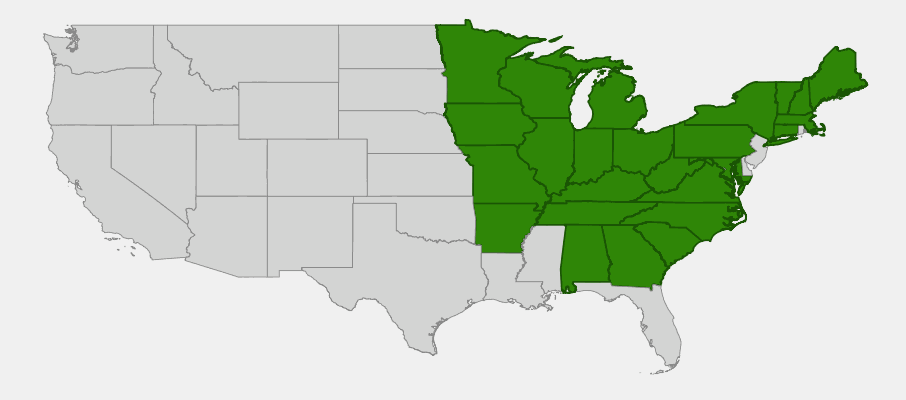 State-level native range of Hepatica acutiloba