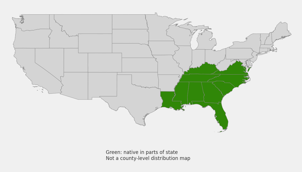 State-level native range of Asarum arifolium