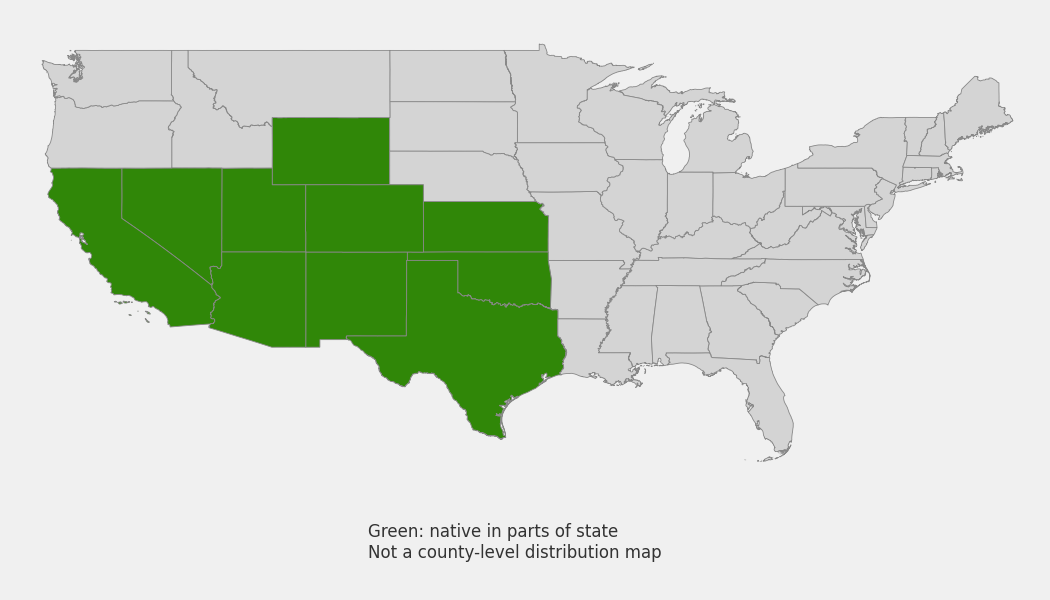State-level native range of Hilaria jamesii
