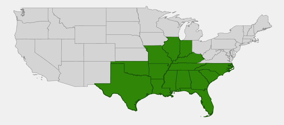 State-level native range of Hymenocallis occidentalis