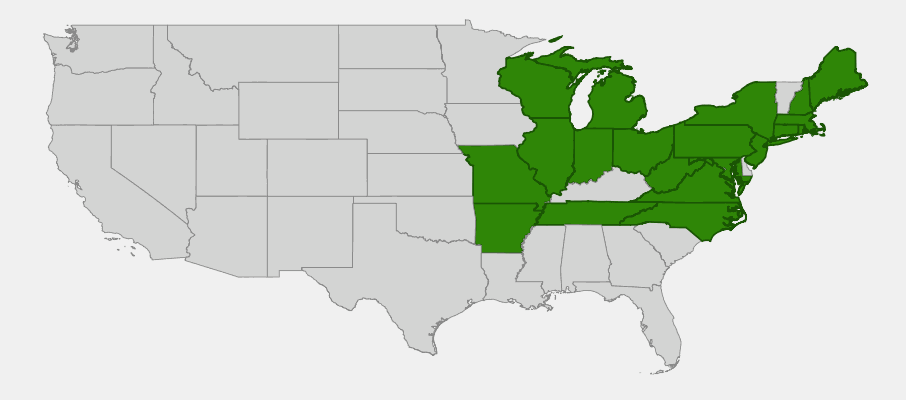 State-level native range of Liatris scariosa