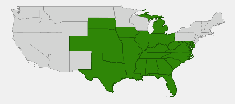 State-level native range of Liatris squarrosa