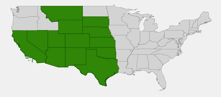 State-level native range of Machaeranthera tanacetifolia