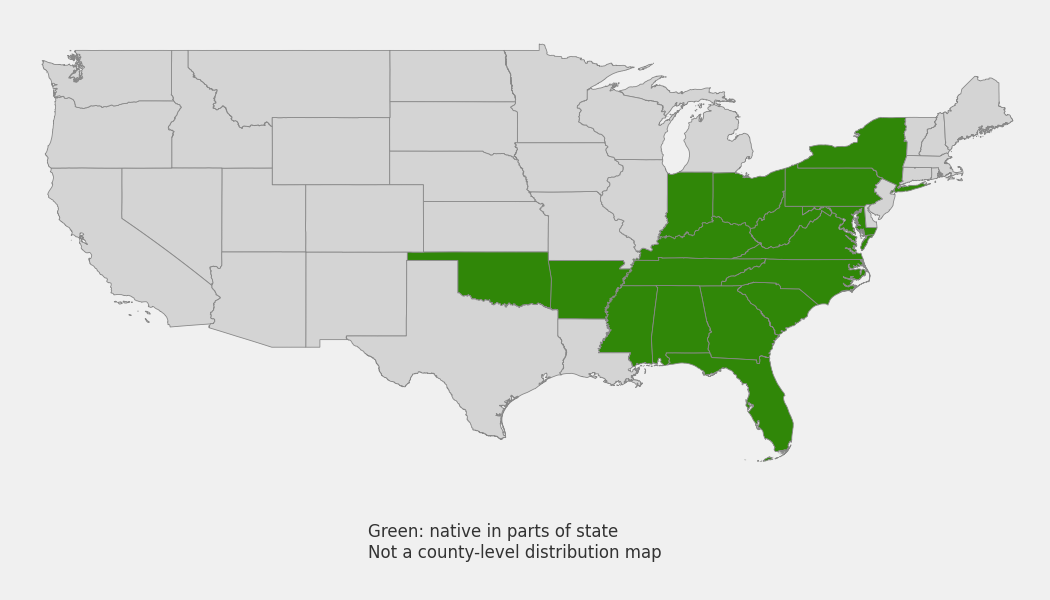 State-level native range of Magnolia tripetala