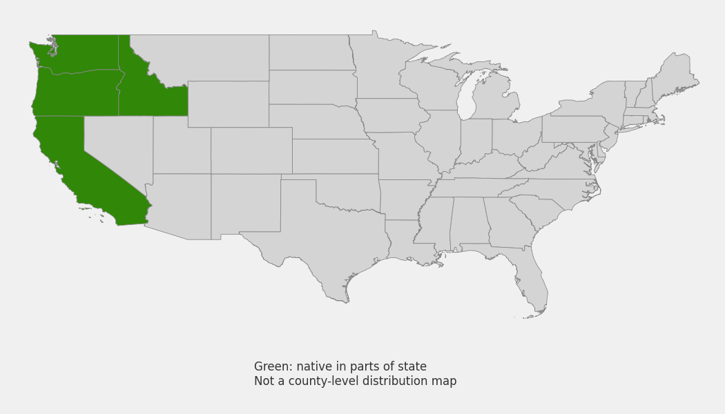State-level native range of Berberis nervosa