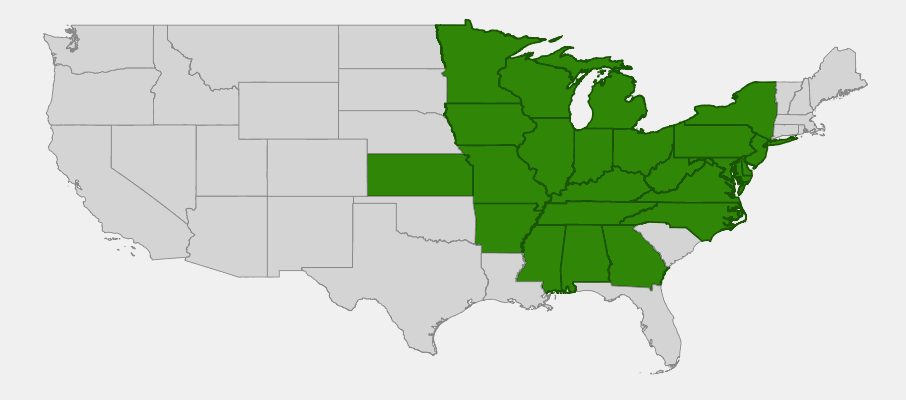 Native range map of Virginia Bluebells (Mertensia virginica) across the central and eastern United States