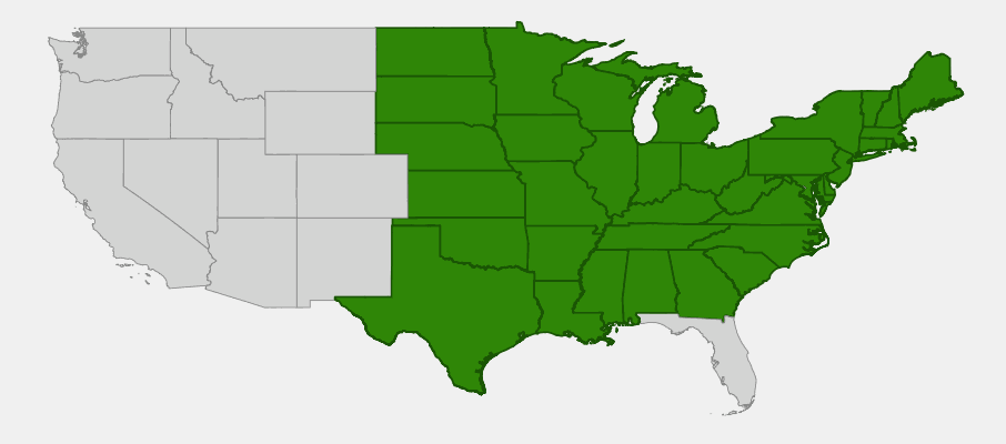 State-level native range of Mimulus ringens
