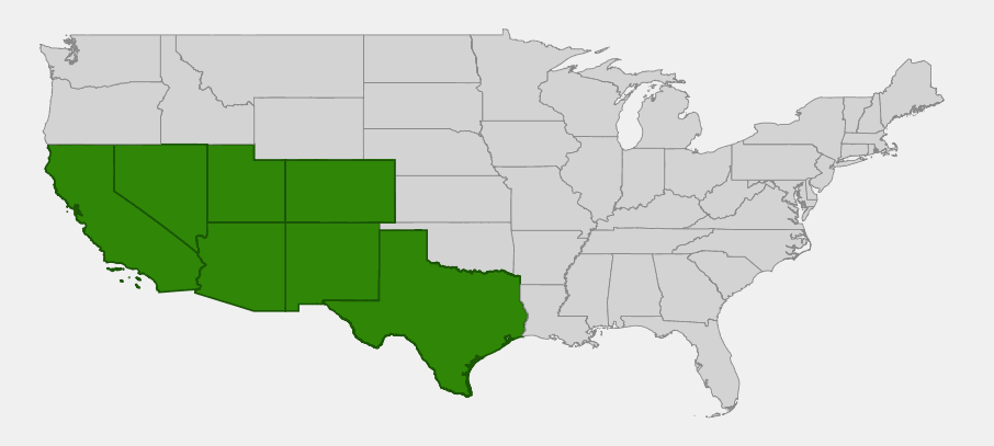 State-level native range of Mirabilis multiflora