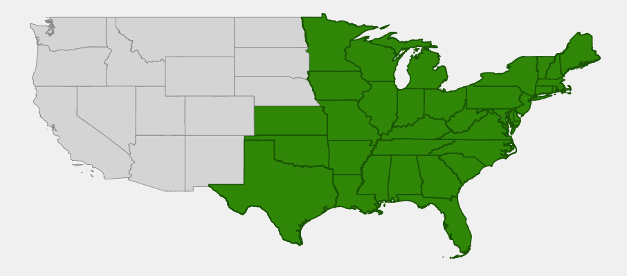 State-level native range of Mitchella repens