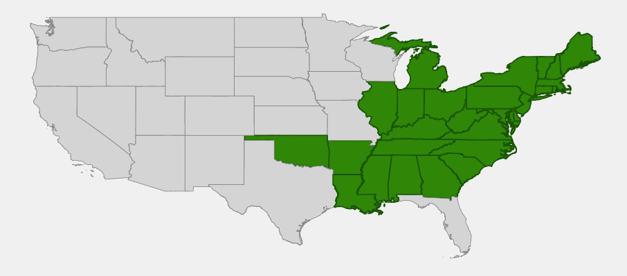 Native U.S. state distribution of New York Fern; state shading does not indicate occurrence in every county