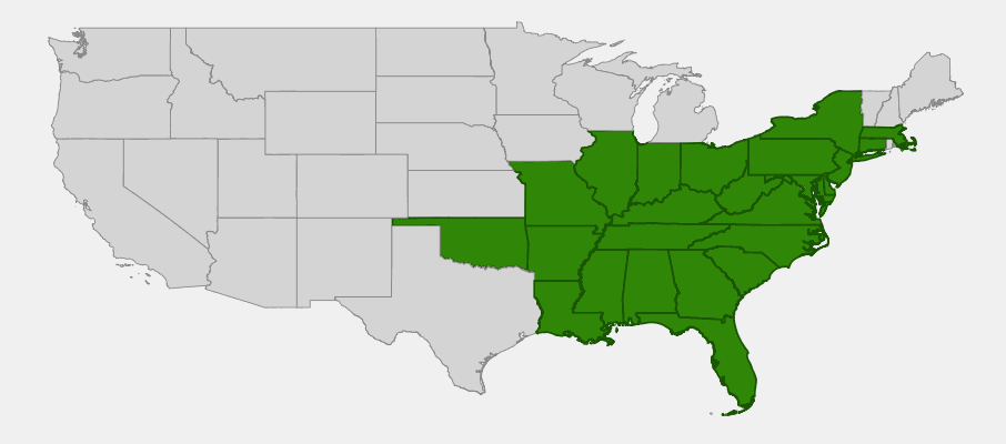 State-level native range of Oenothera fruticosa