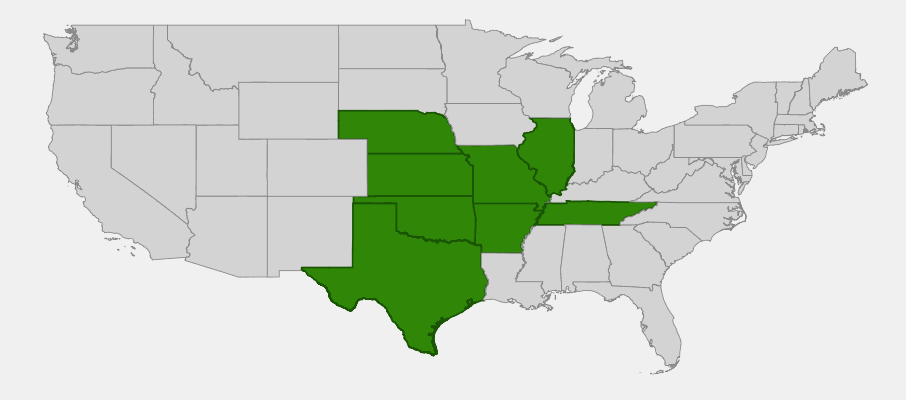 State-level native range of Oenothera macrocarpa