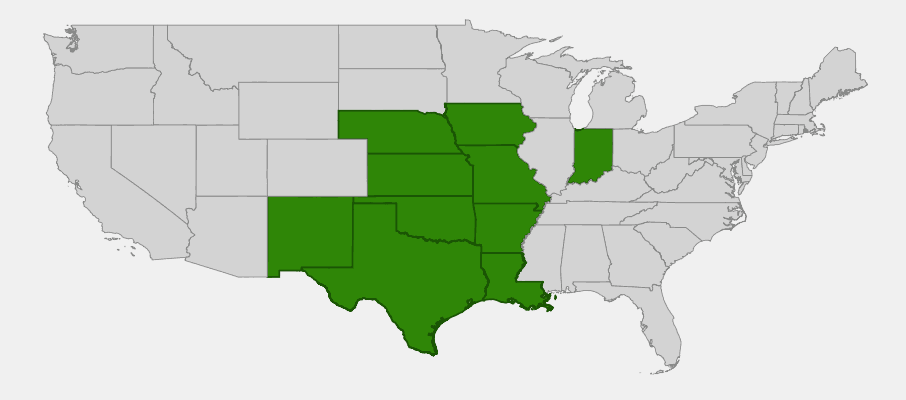 State-level native range of Oenothera speciosa