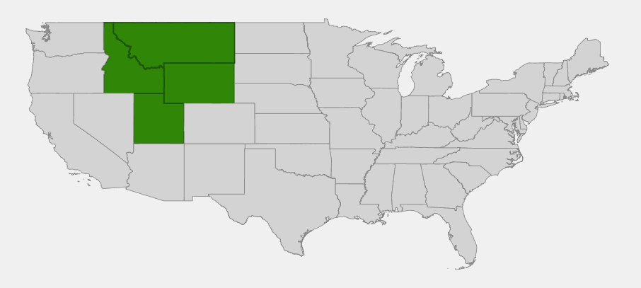 State-level native range of Penstemon cyananthus