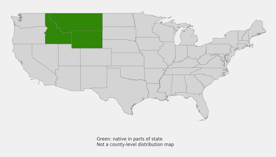 State-level native range of Penstemon cyaneus