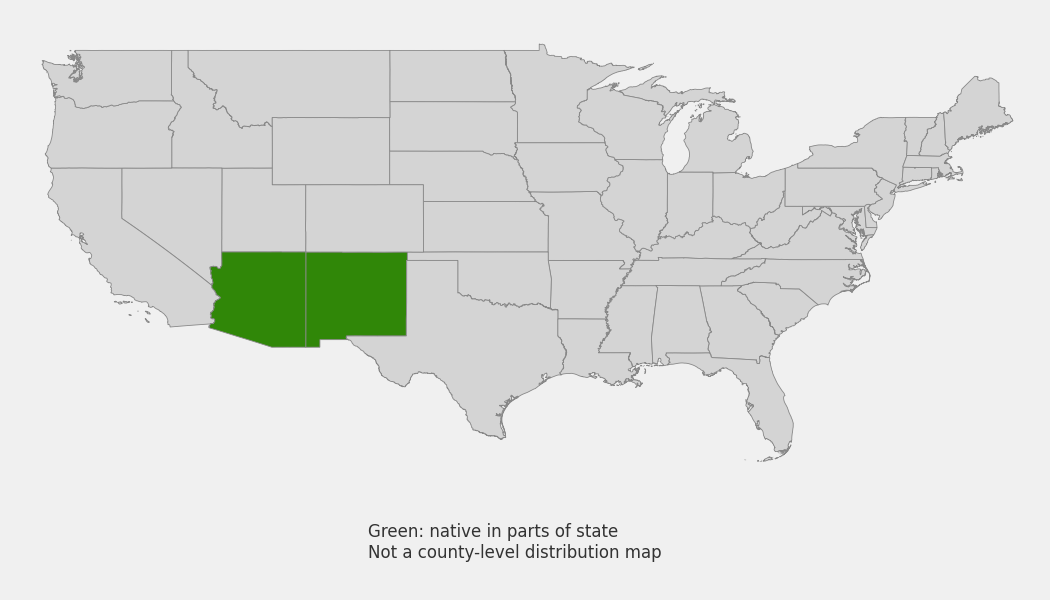 State-level native range of Penstemon pinifolius