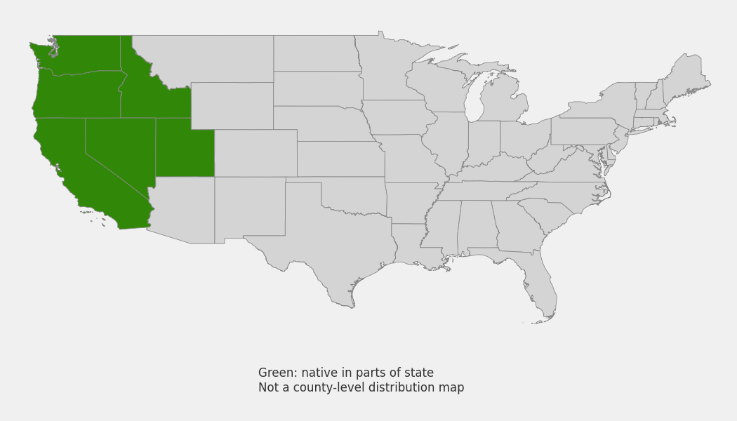 State-level native range of Penstemon speciosus