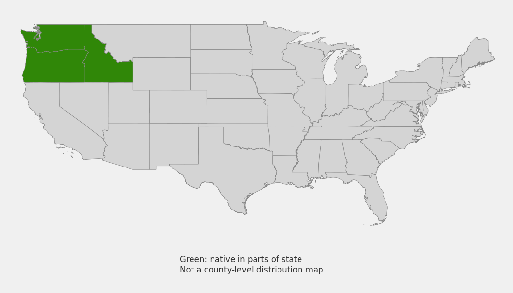 State-level native range of Penstemon venustus
