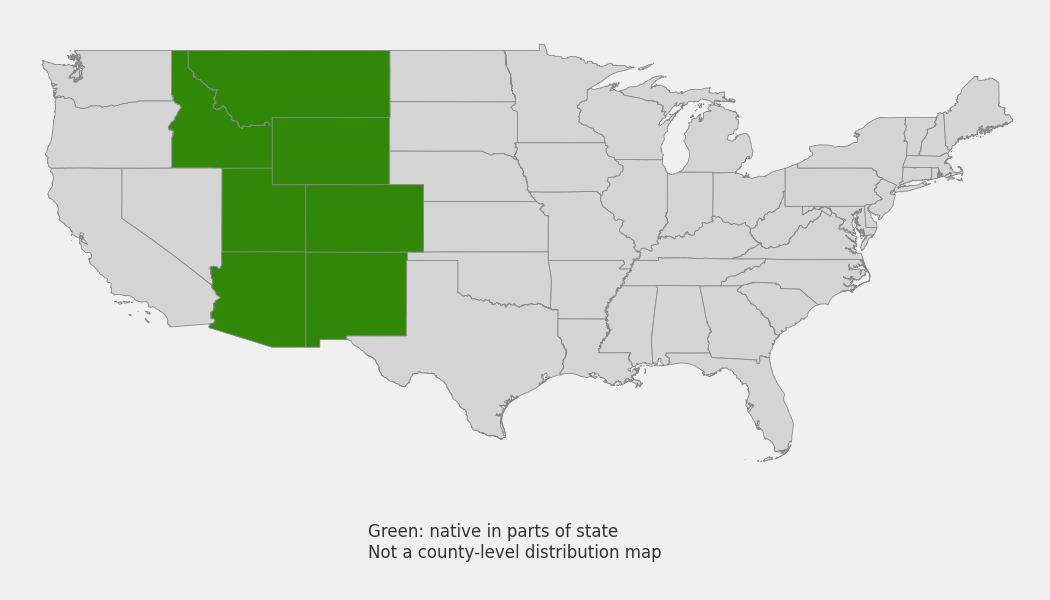 State-level native range of Penstemon whippleanus