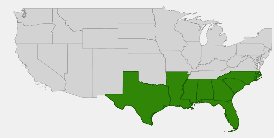State-level native range of Persea borbonia