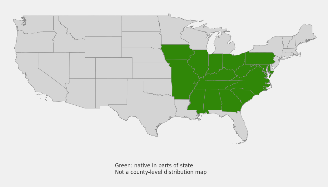 State-level native range of Phacelia bipinnatifida